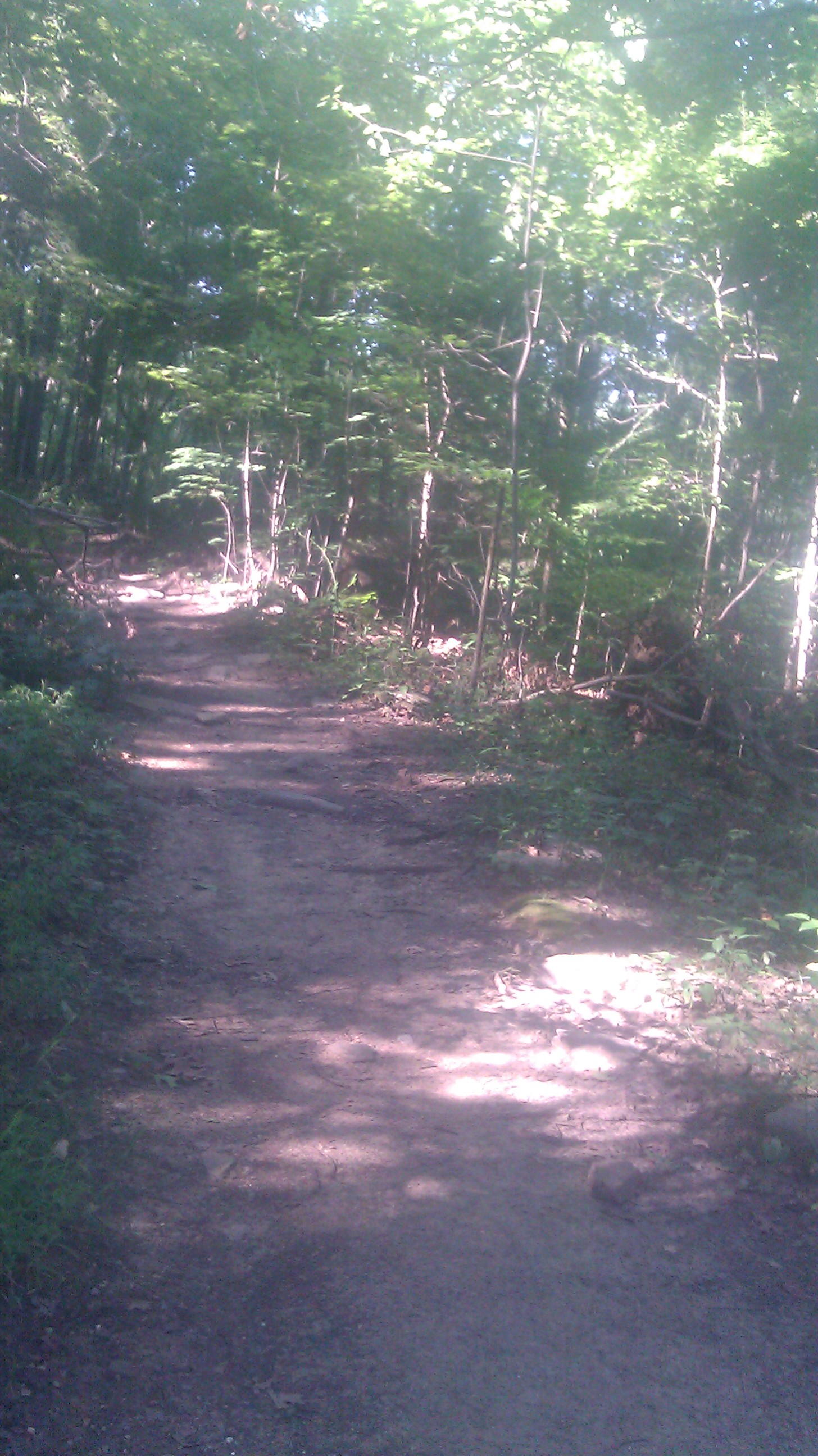 the trail!
